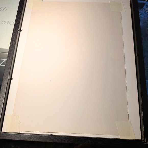 Vintage Zebra Art Print - Stunning 127 Year Old Print From Recycled Book - Picture 3 of 3